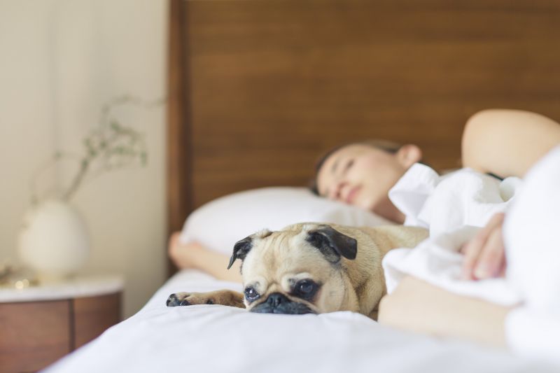 giấc ngủ ngon giúp bạn thoát stress nhanh chóng giấc ngủ ngon giúp bạn thoát stress nhanh chóng